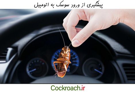 چگونه از ورود سوسک به اتومبیل پیشگیری کنیم؟
