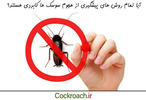 روش های اشتباه پیشگیری از سوسک چه هستند؟