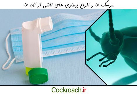 بررسی بیماری های ناشی از سوسک