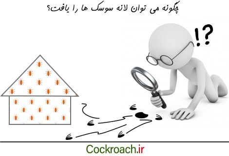 لانه سوسک ها را چگونه پیدا کنیم؟
